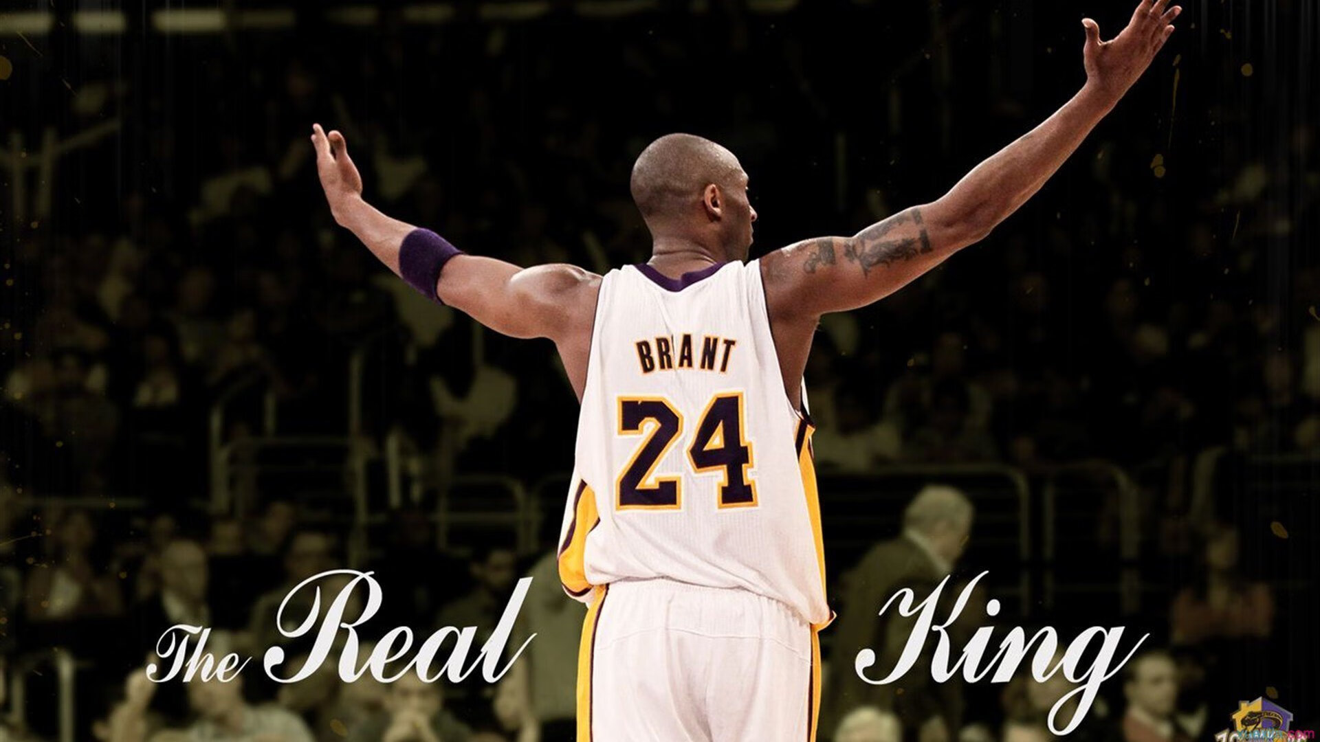 《英雄联盟》全球预选火热开启，谁能脱颖而出，挺进世界舞台？